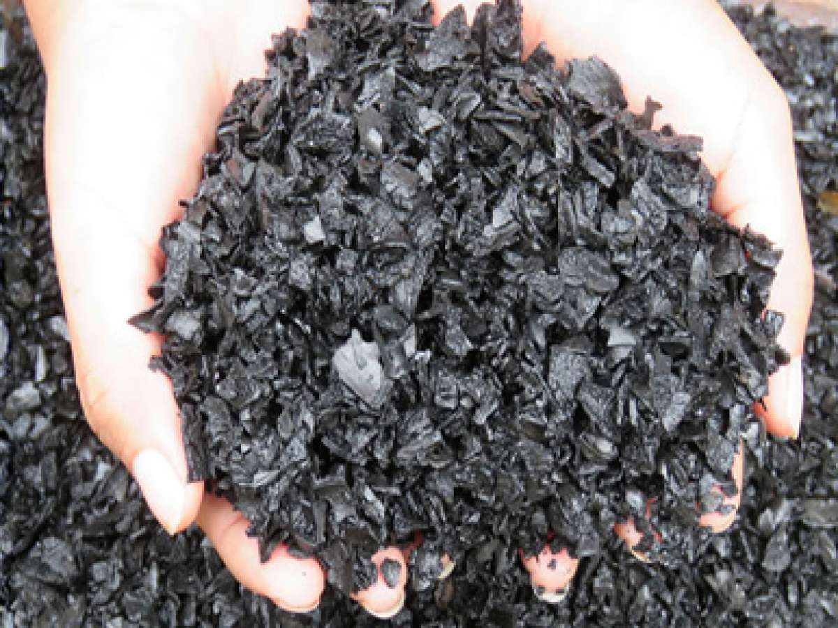 Desde la Universidad de Concepción, vía youtube, se transmitirá charla sobre el biocarbón y sus usos en la agricultura