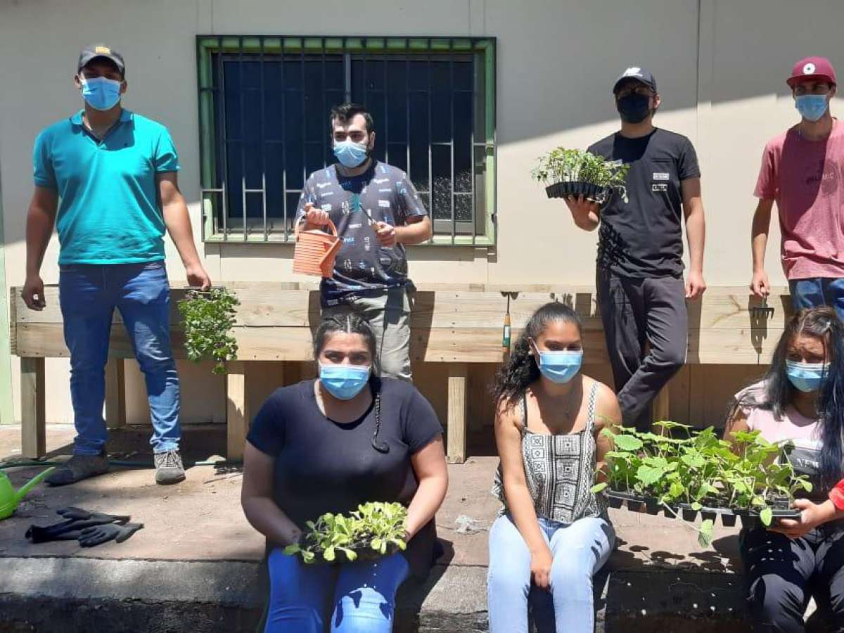 Estudiantes de Santo Tomás Chillán impulsan la creación de huertos urbanos en Chillán