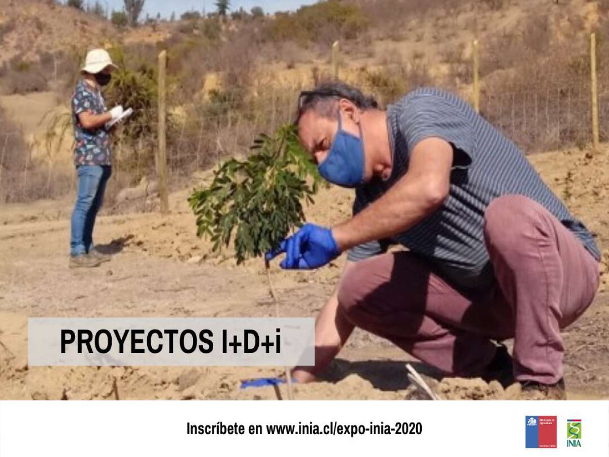 Expo INIA 2020 anticipa su programación de charlas abiertas y mesas técnicas sectoriales