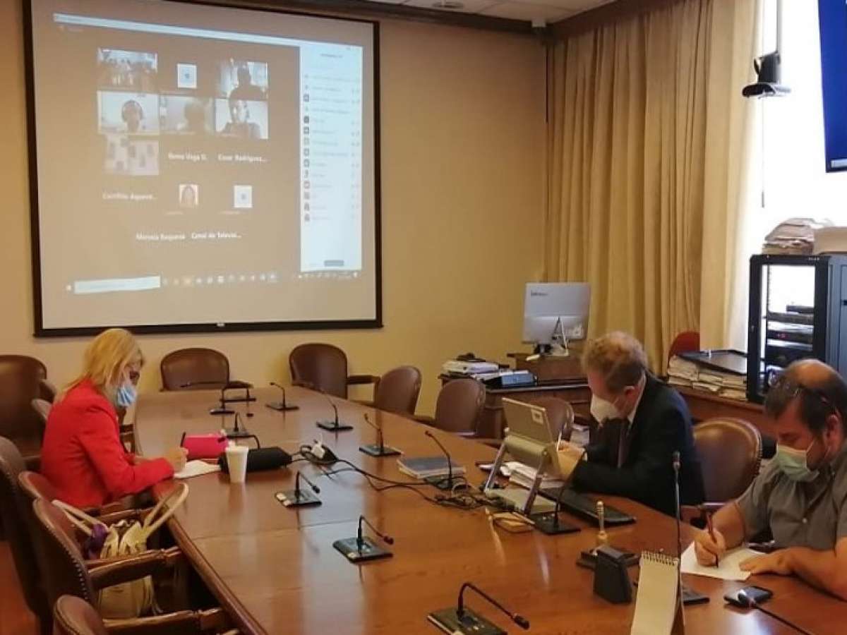 Funcionarios de Senadis, Injuv y Fosis denuncian recortes presupuestarios ante comisión