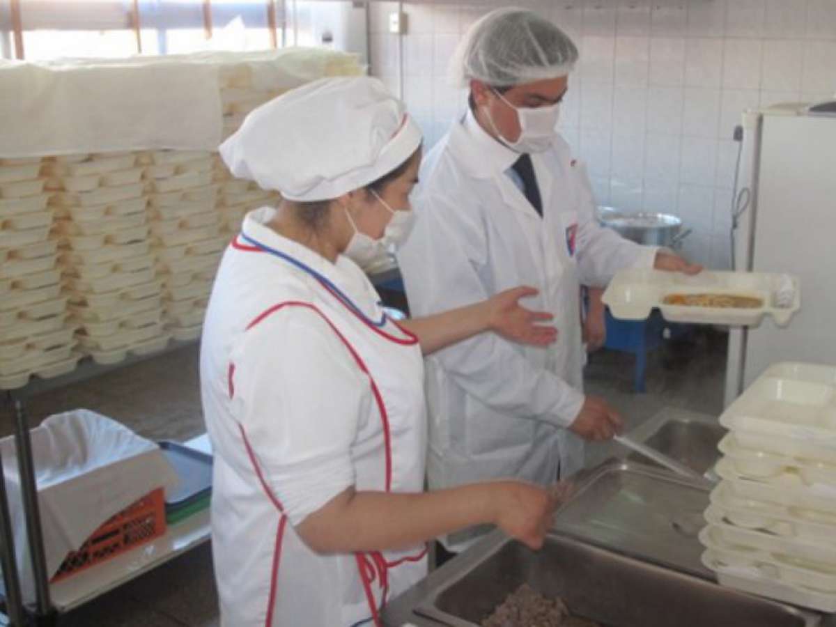 Inician estudio de proyectos que buscan incluir comida vegeteriana y vegana en menú Junaeb