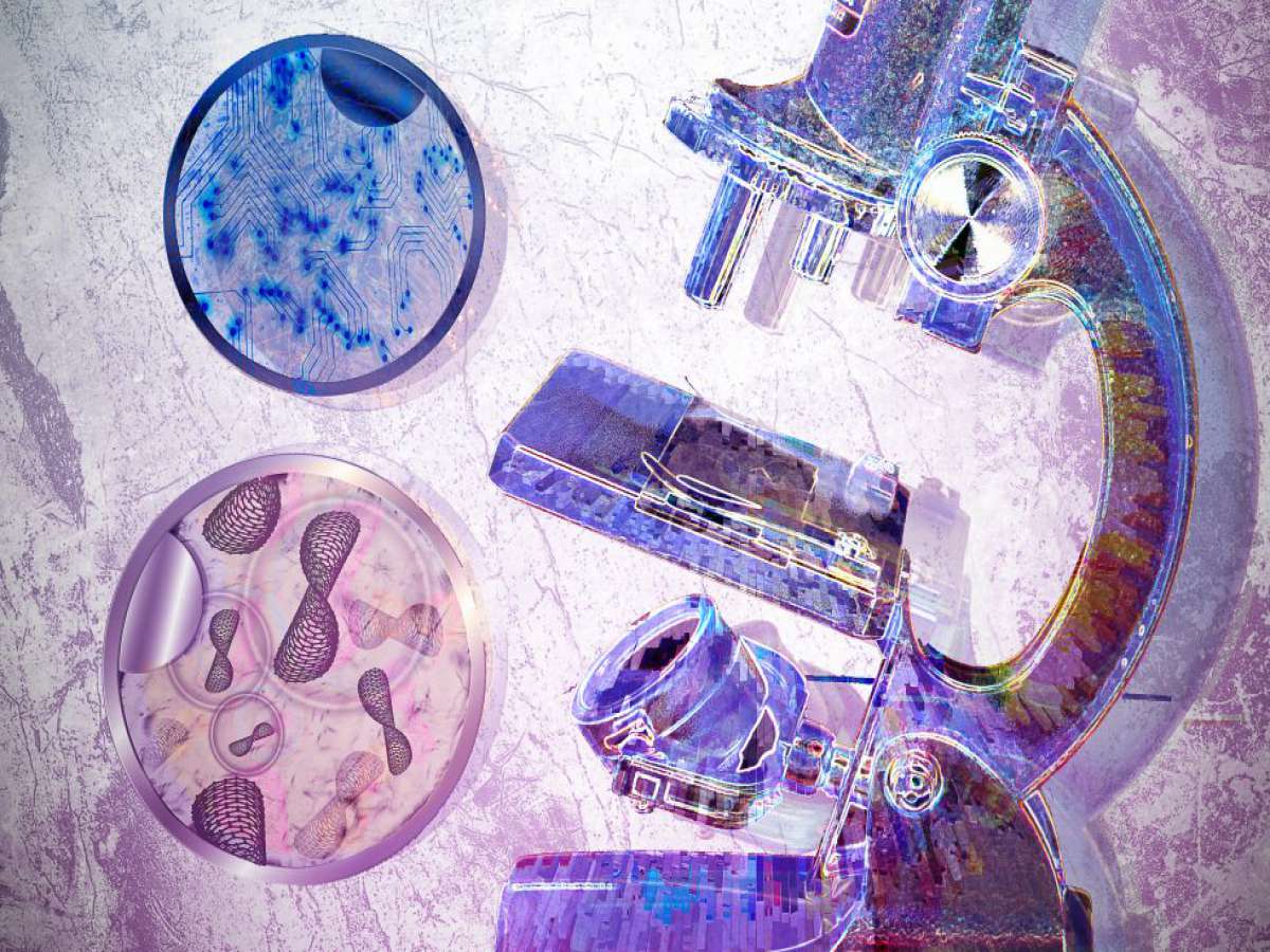 Viaje a las profundidades de la materia: Entendiendo las nanotecnologías