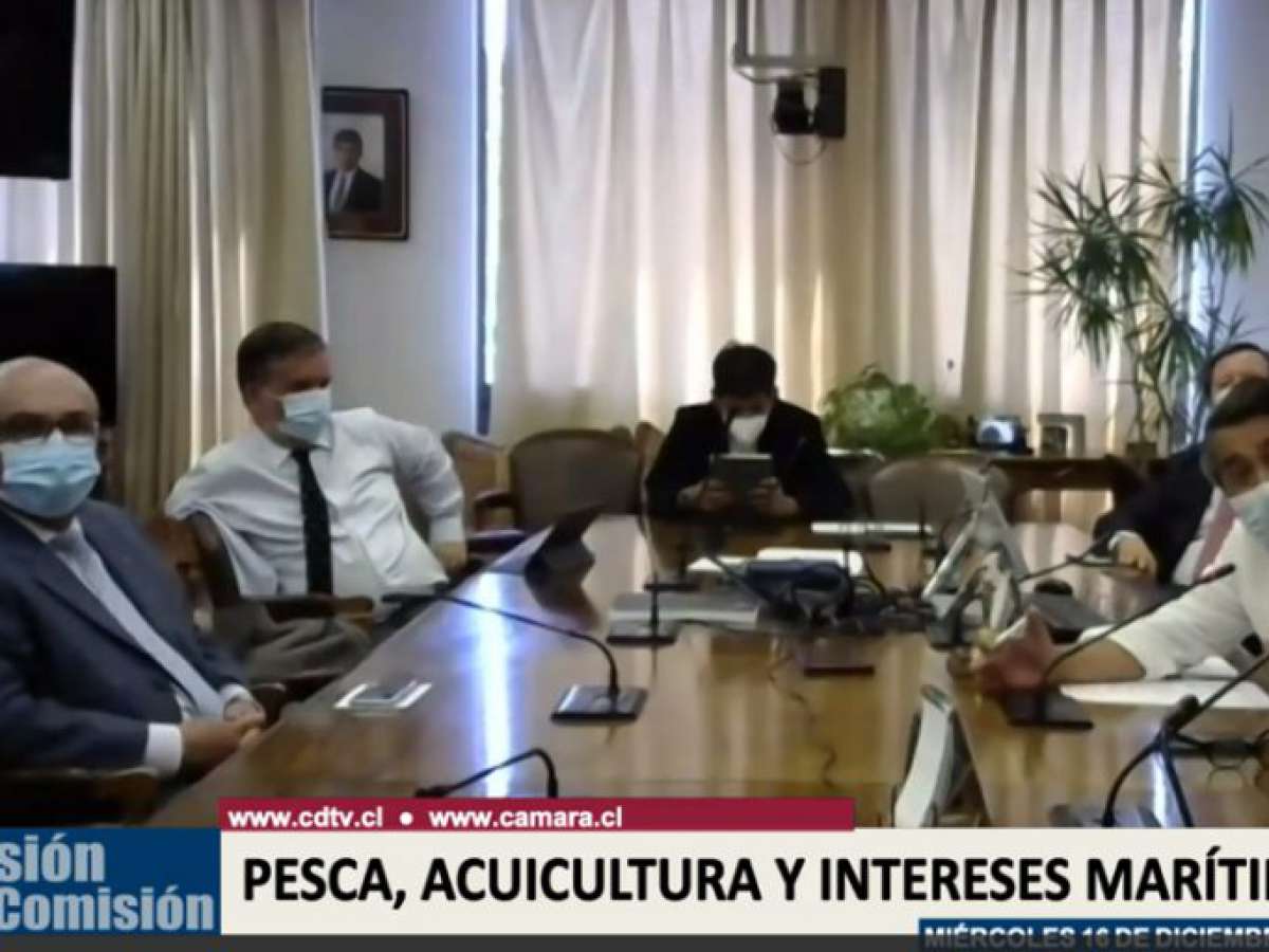 Comisión de Pesca solidariza con funcionarios de Sernapesca agredidos en fiscalización