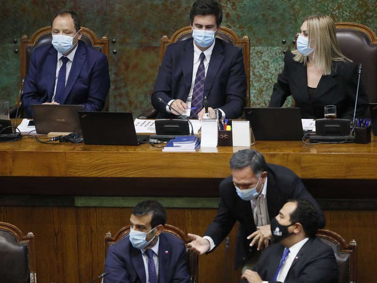 Sala rechazó insistencia del Ejecutivo por proyecto que persigue el robo y hurto de madera en troza