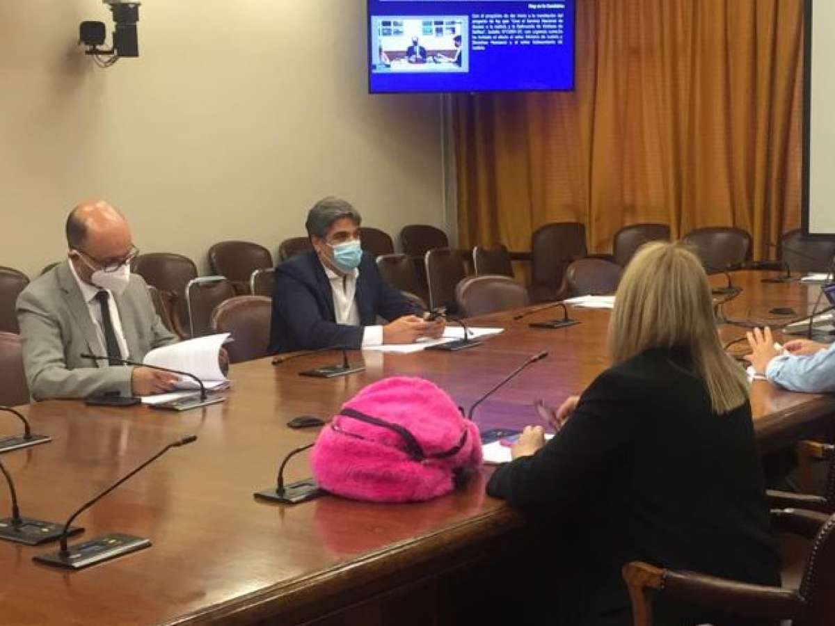 Comisión de Constitución inició discusión de proyecto que crea la Defensoría de las Víctimas