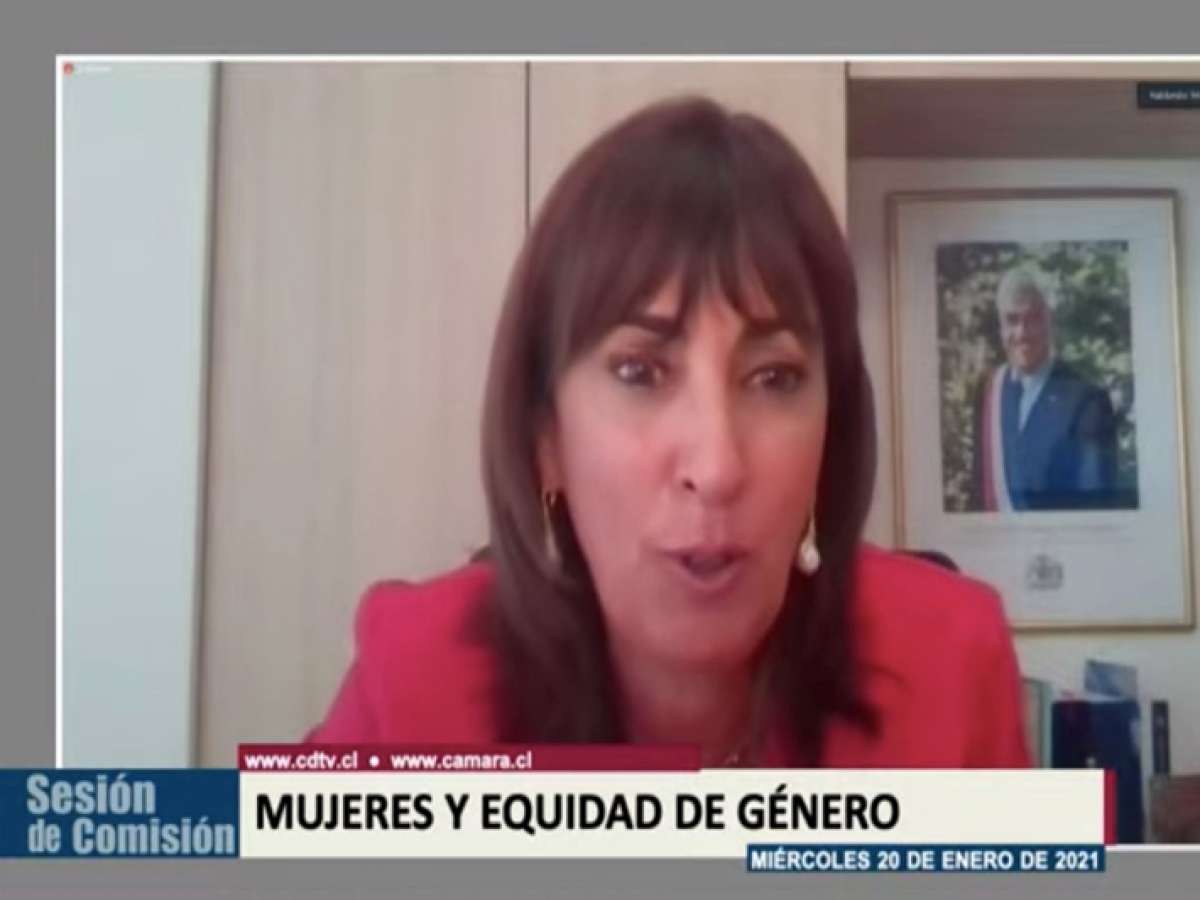Gobierno expuso su postura frente a la despenalización del aborto