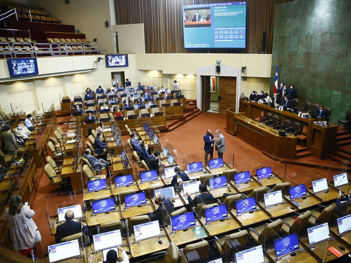 Ley Antonia y transparencia en los mercados en los temas de la semana de la Cámara