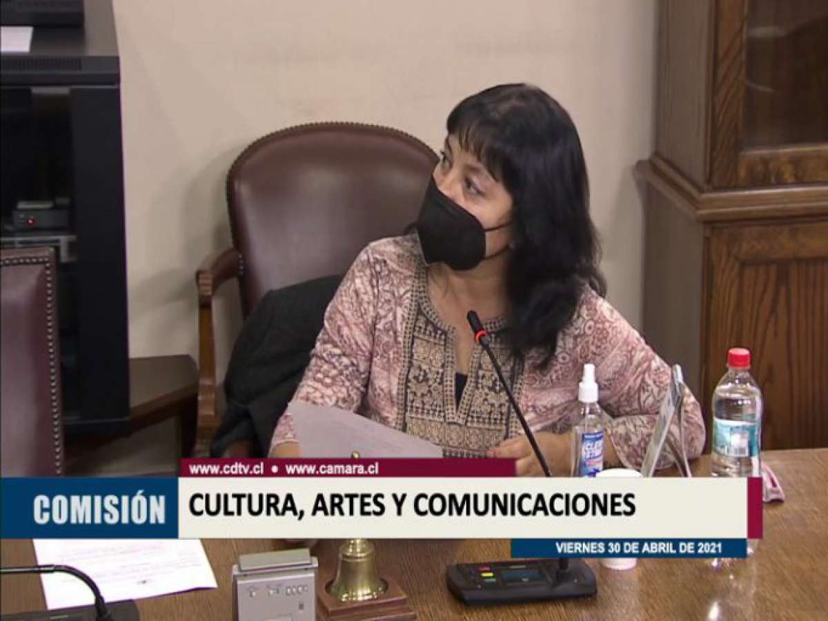 53 organizaciones participaron en audiencias por proyecto de ley del Patrimonio