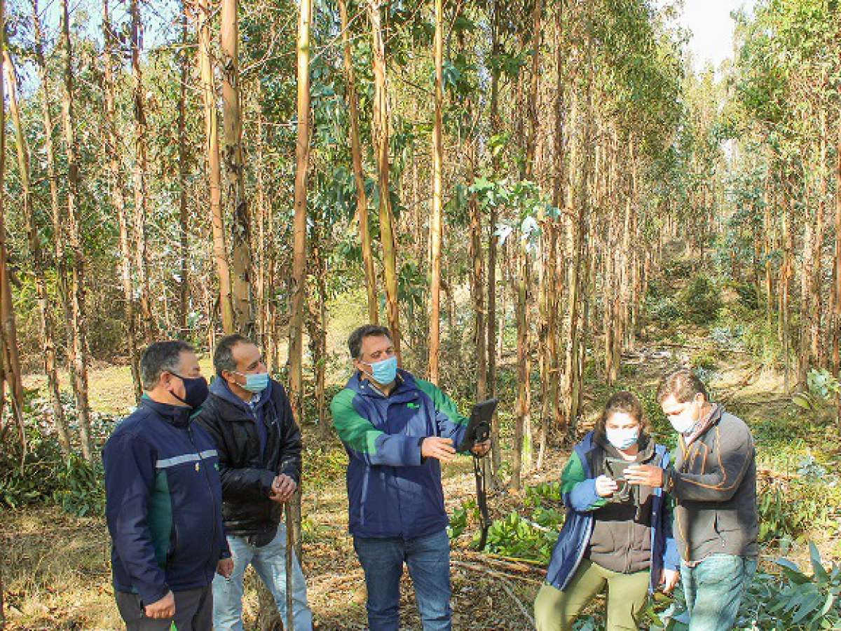 CONAF Ñuble se alista para iniciar programas de Reactivación Económica y +Bosques