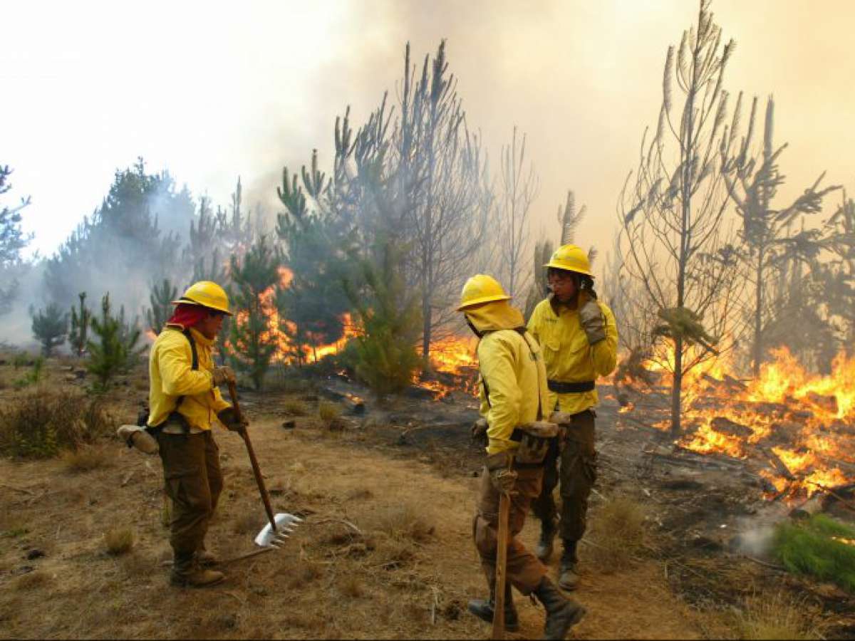 Comisión aprueba regular cambio de uso de suelo en terrenos afectados por incendios forestales