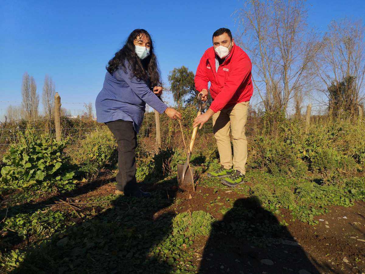 Seremi de Gobierno y CONAF impulsan programa de arborización en barrios de la región de Ñuble