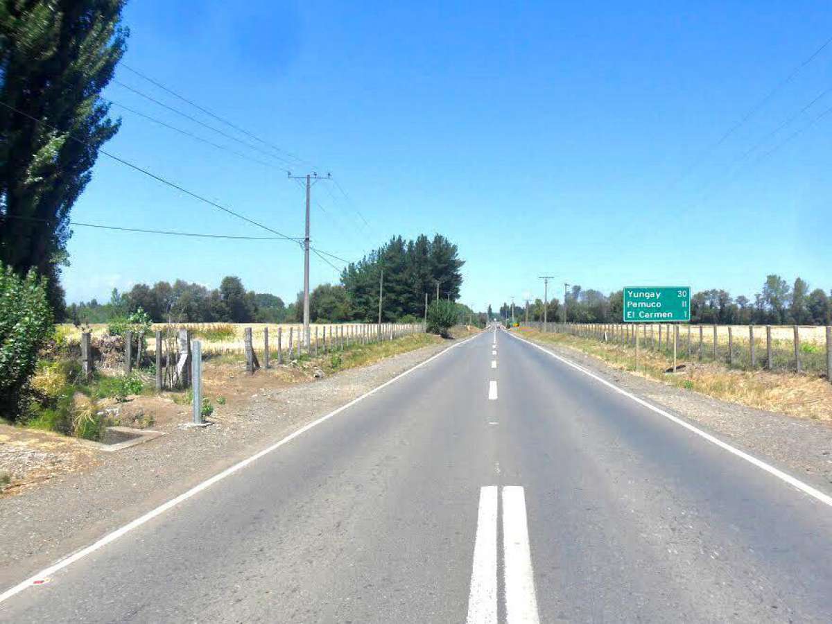 Diputado Sabag pide agilizar proyecto de mejoramiento de la ruta que une Chillán-Yungay