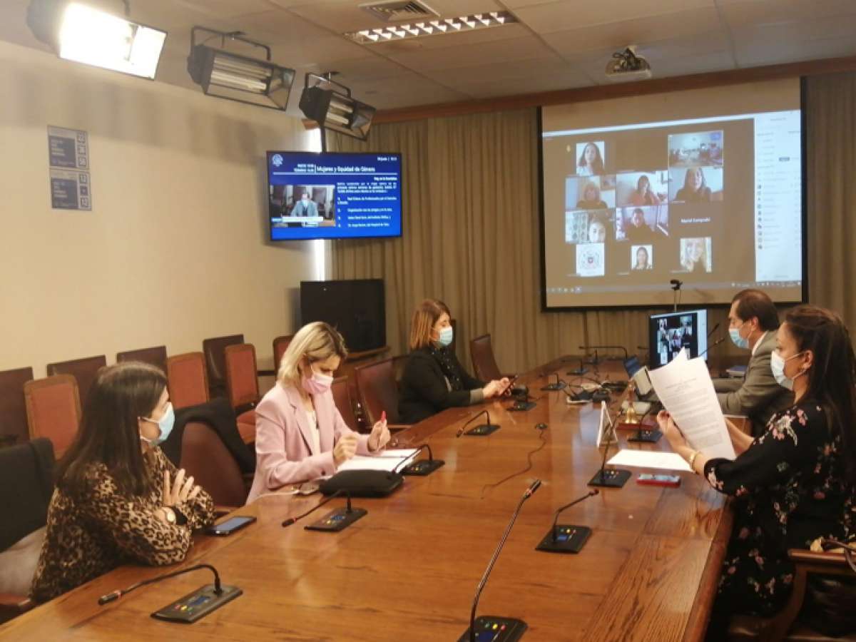 Organizaciones y médicos plantearon observaciones a proyecto que despenaliza el aborto