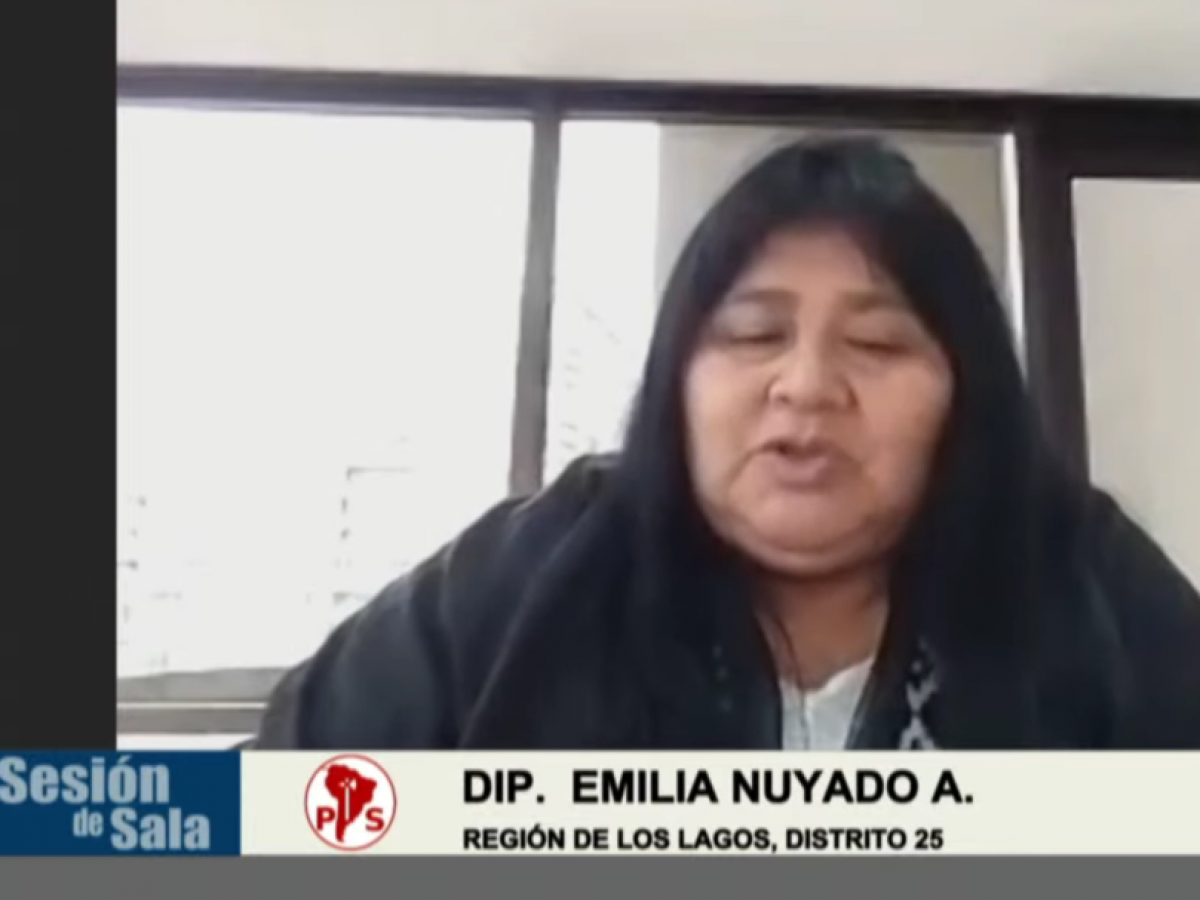 Aprueban informe de la comisión investigadora sobre políticas de seguridad en La Araucanía
