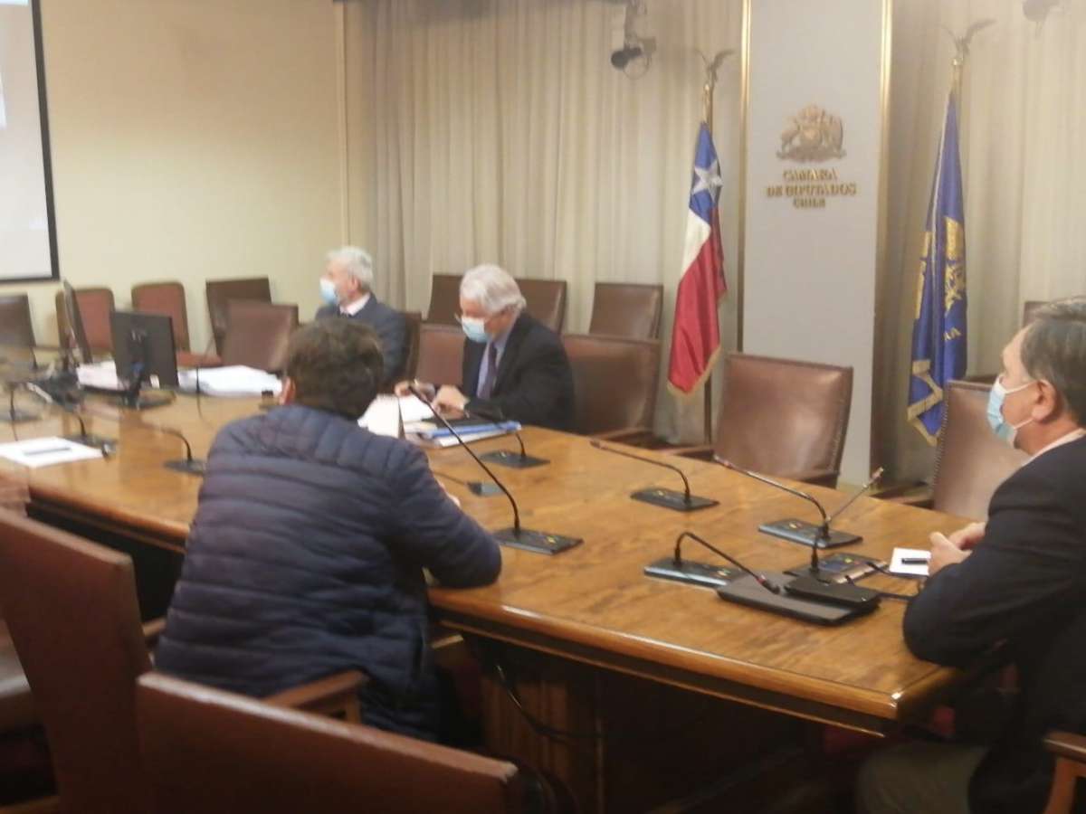 Respaldan en la Comisión de Economía la idea de legislar sobre el Registro de Empresas y Sociedades