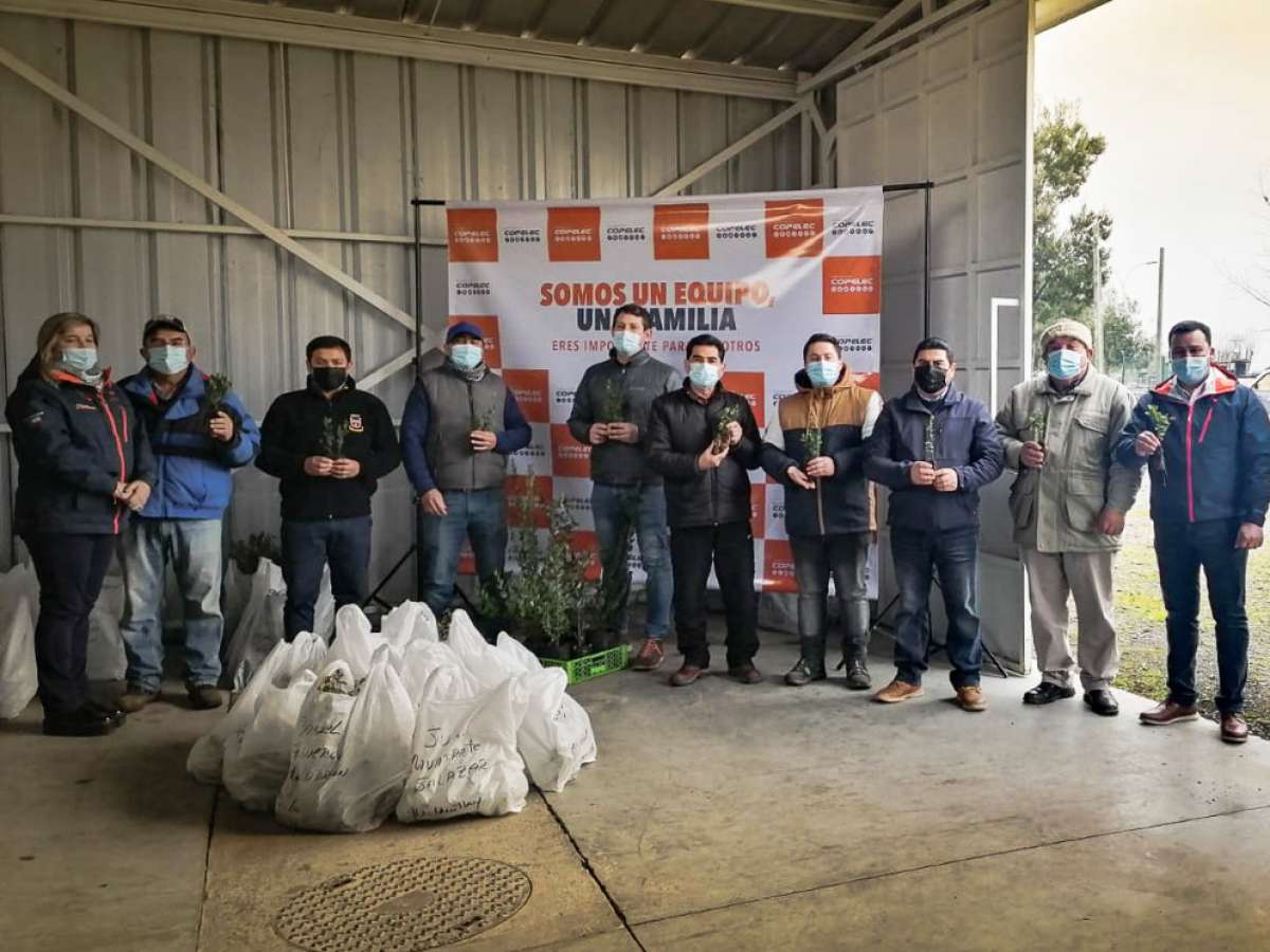 15 mil árboles melíferos fueron entregados por Copelec y Fundación Reforestemos a apicultores de Ñuble