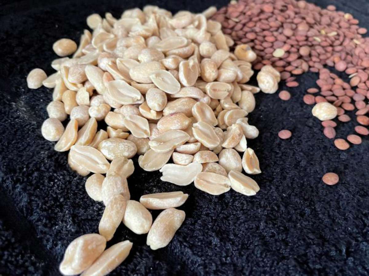 Plantean al Ejecutivo que fomente la alimentación con base a proteína vegetal