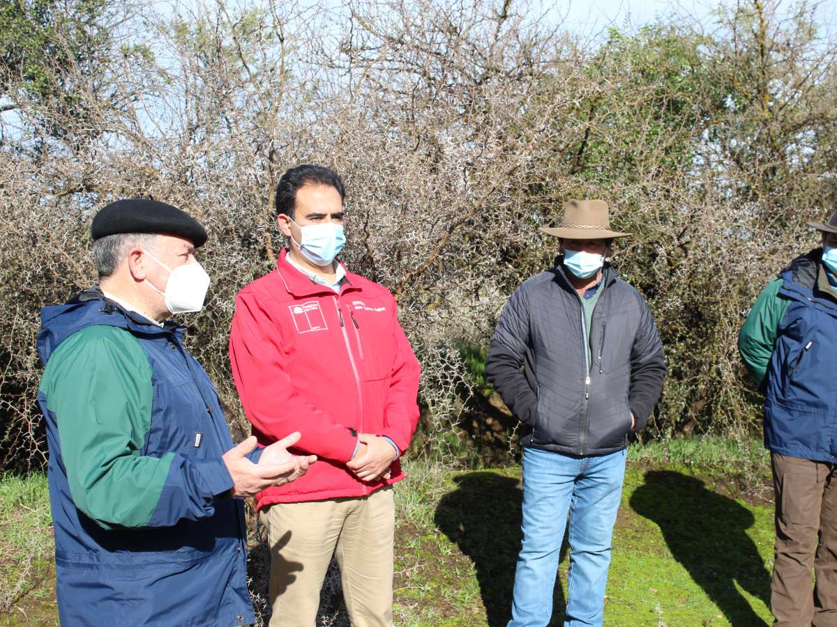 200 familias de Ñuble serán beneficiadas con el programa de reactivación económica de CONAF