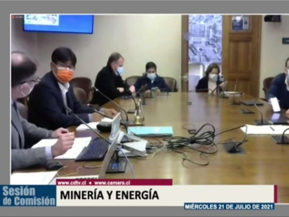 Comisión de Energía inició votación en particular del proyecto sobre comercialización de la leña