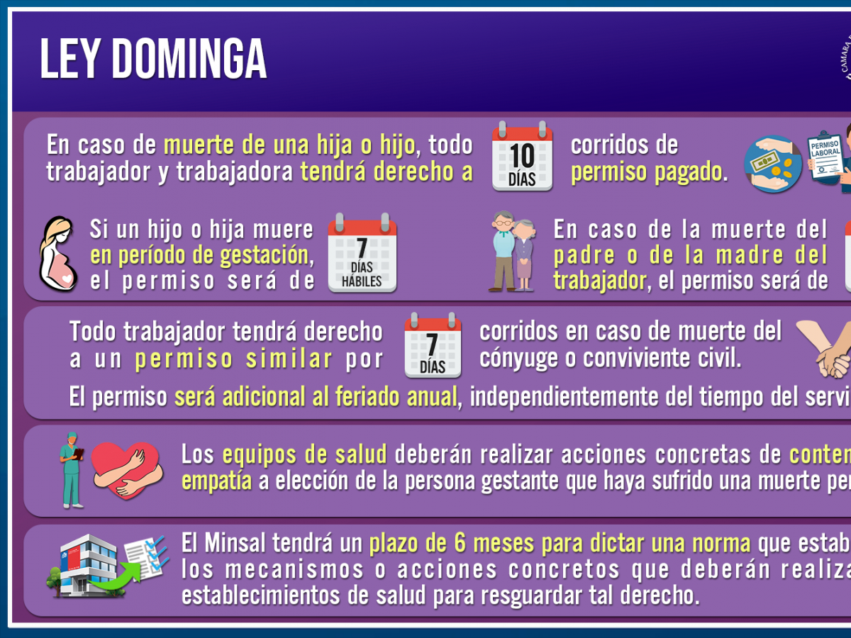 Unánime apoyo para despachar la denominada “Ley Dominga”