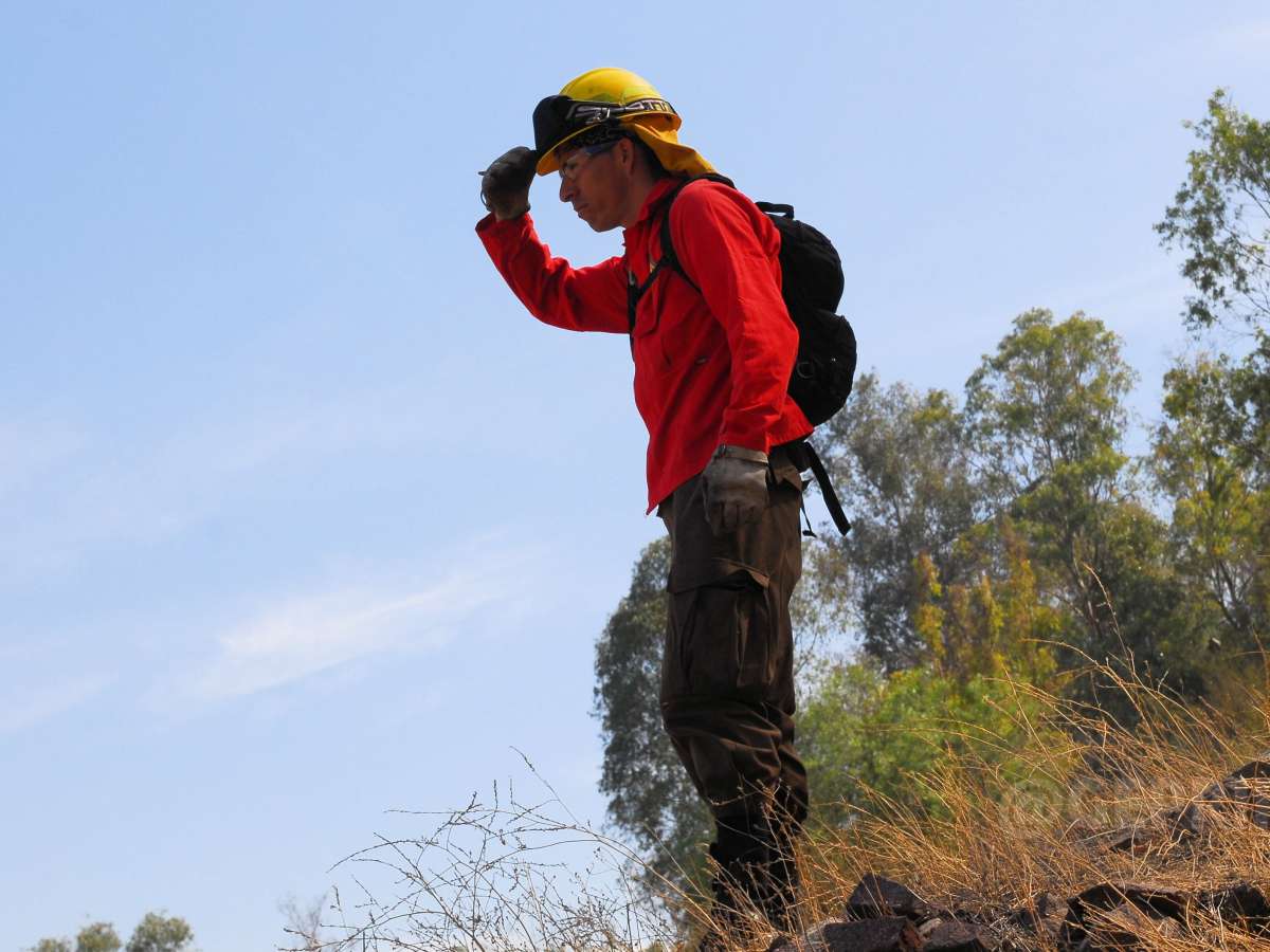 CONAF se prepara para la temporada de incendios 2021-2022