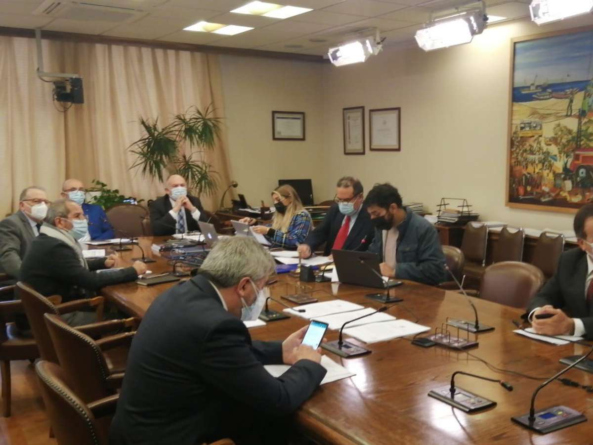 Pesca apoyó legislar iniciativa sobre recursos bentónicos