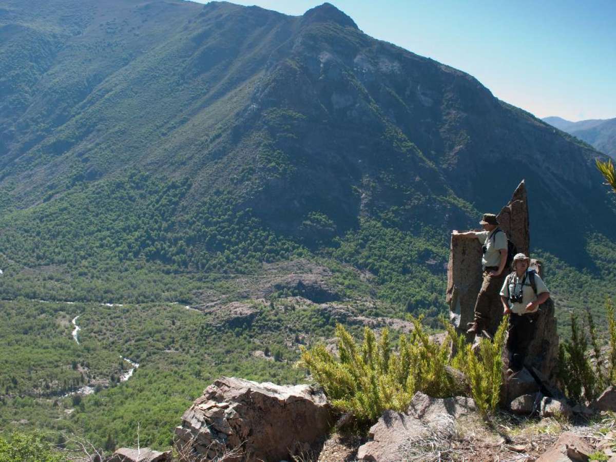 Reservas Nacionales de Ñuble alistan su reapertura
