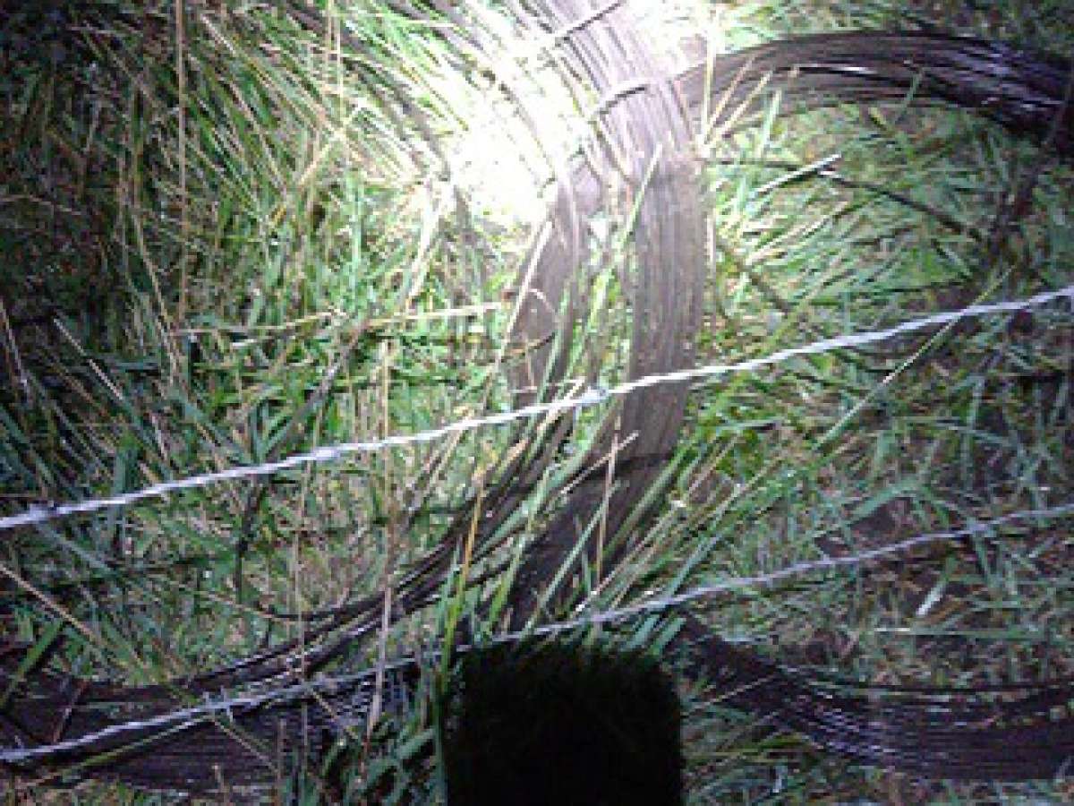 Copelec vuelve a sufrir nuevo robo de cables en sector Santa Elisa