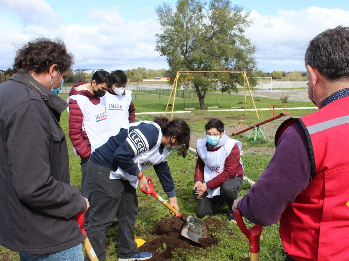 Junta de vecinos y colegio de Bulnes recibieron árboles para hermosear sus alrededores