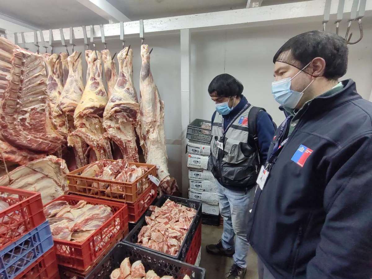 Autoridad sanitaria ha decomisado 4 mil 747 kilos de productos cárnicos