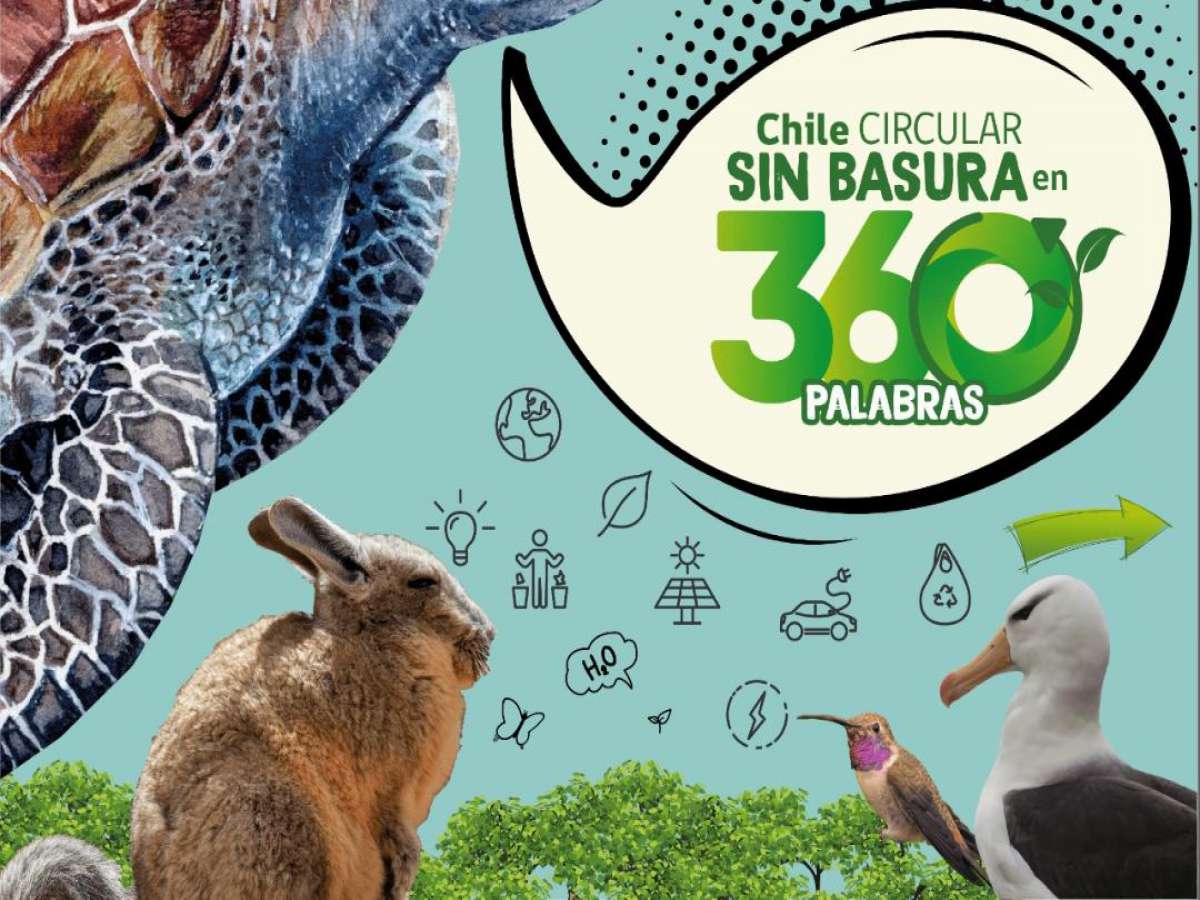 Seremi del Medio Ambiente Ñuble invita a participar del Concurso de cuentos ‘Chile Circular sin Basura en 360 palabras’