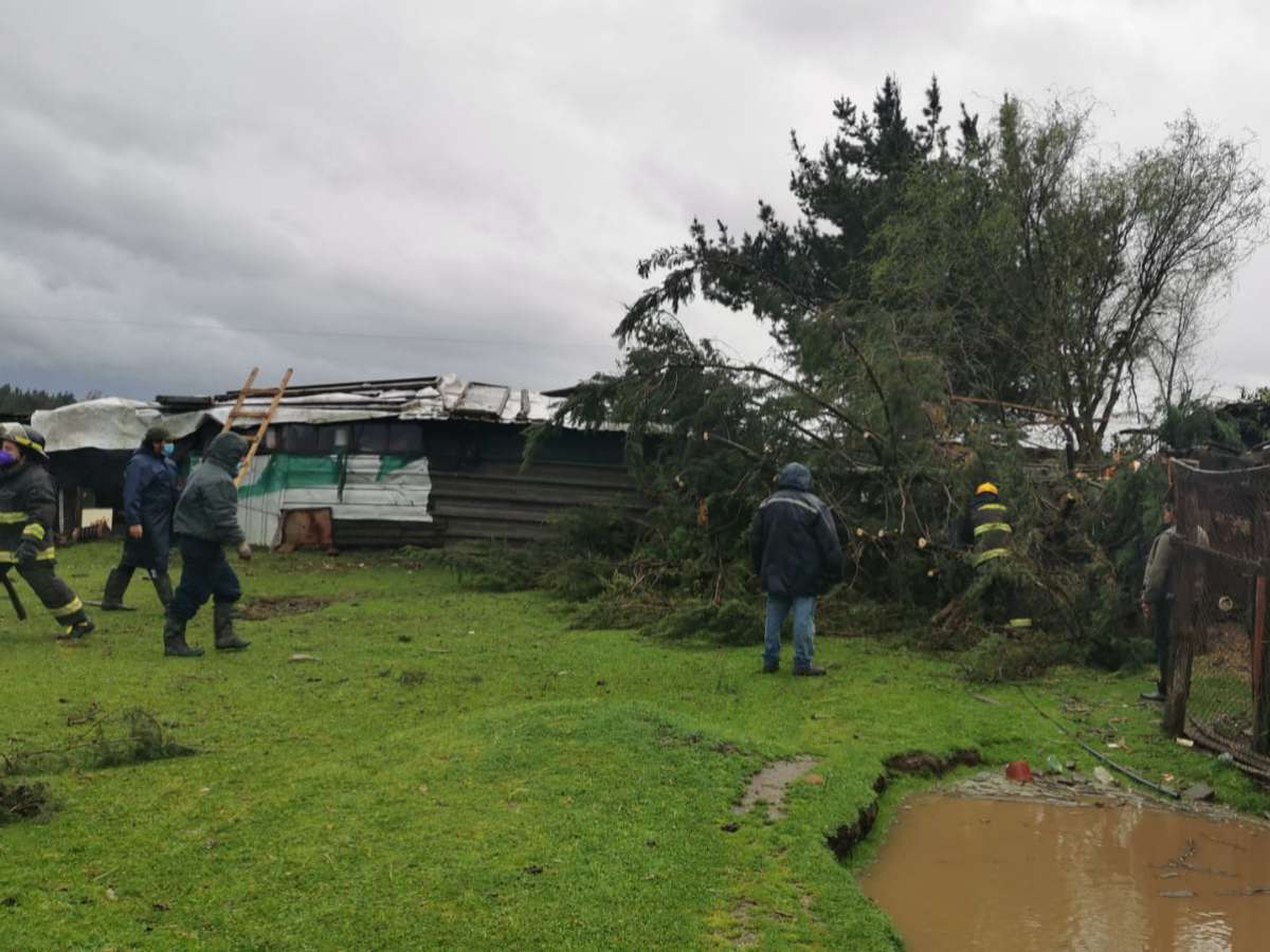 Árbol aplasto dependencia destinada a cocina donde se encontraba adulto mayor que afortunadamente resultó ileso