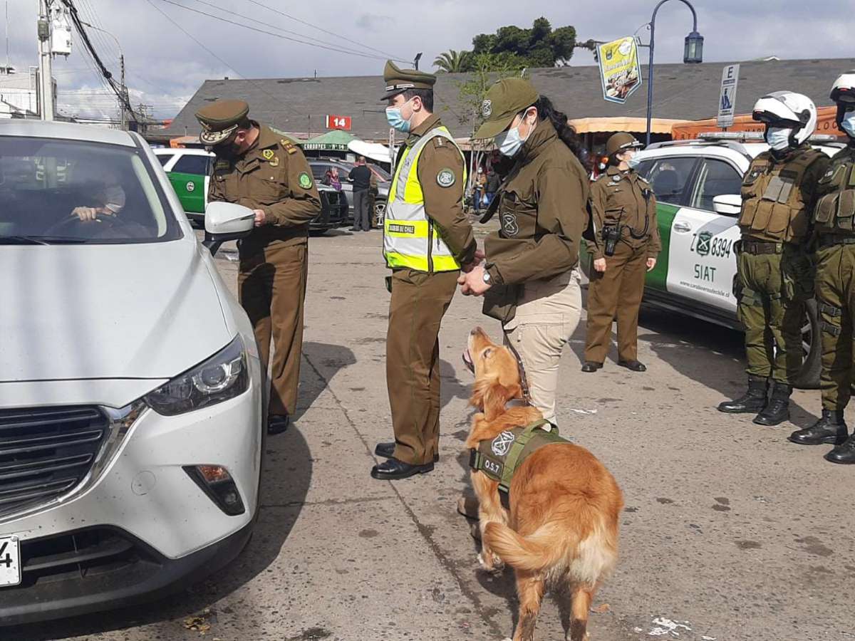 Carabineros lanzó en Ñuble 7 servicios preventivos focalizados para Fiestas Patrias