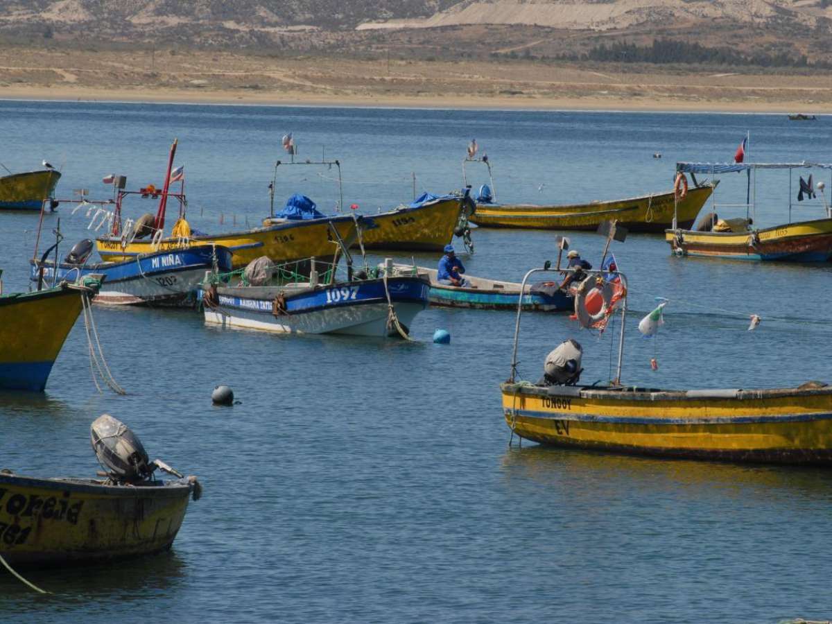 Organizaciones de pescadores artesanales podrán optar a fondo de gobierno para cubrir gastos básicos y operacionales