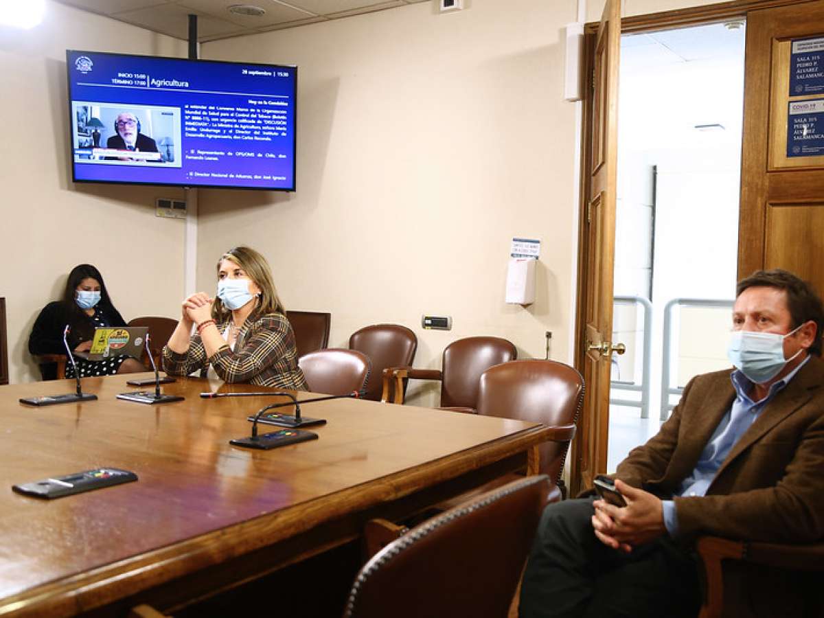 Agricultura continúo recabando antecedentes por proyecto de control de tabaco