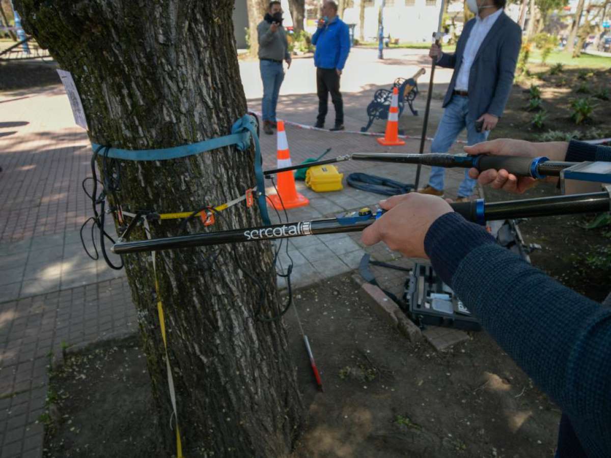 Municipio realiza catastro de arbolado urbano para garantizar seguridad a la comunidad