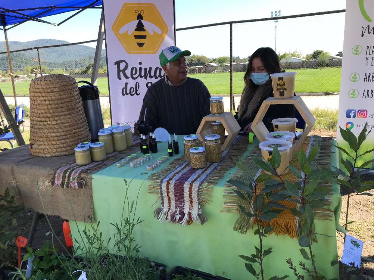 Apicultores se reunieron en Quillón para participar de seminario que aborda los desafíos del trabajo en colmenas post pandemia