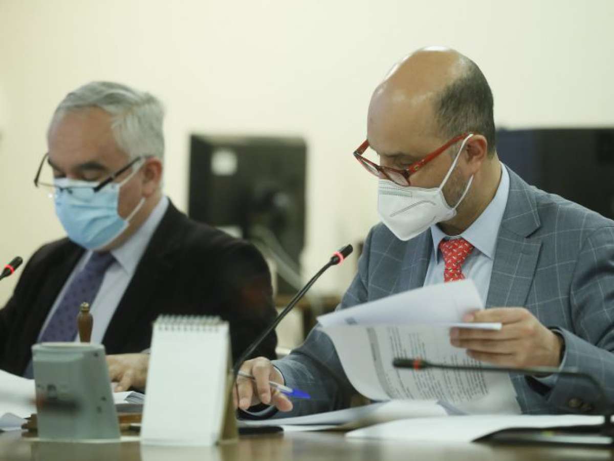 A Sala proyecto que tipifica el delito de sustracción de madera