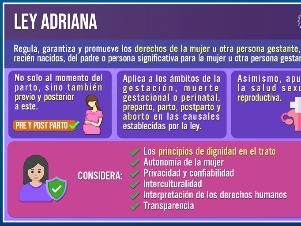 Sala aprobó en general proyecto que previene y sanciona la violencia gineco-obstétrica