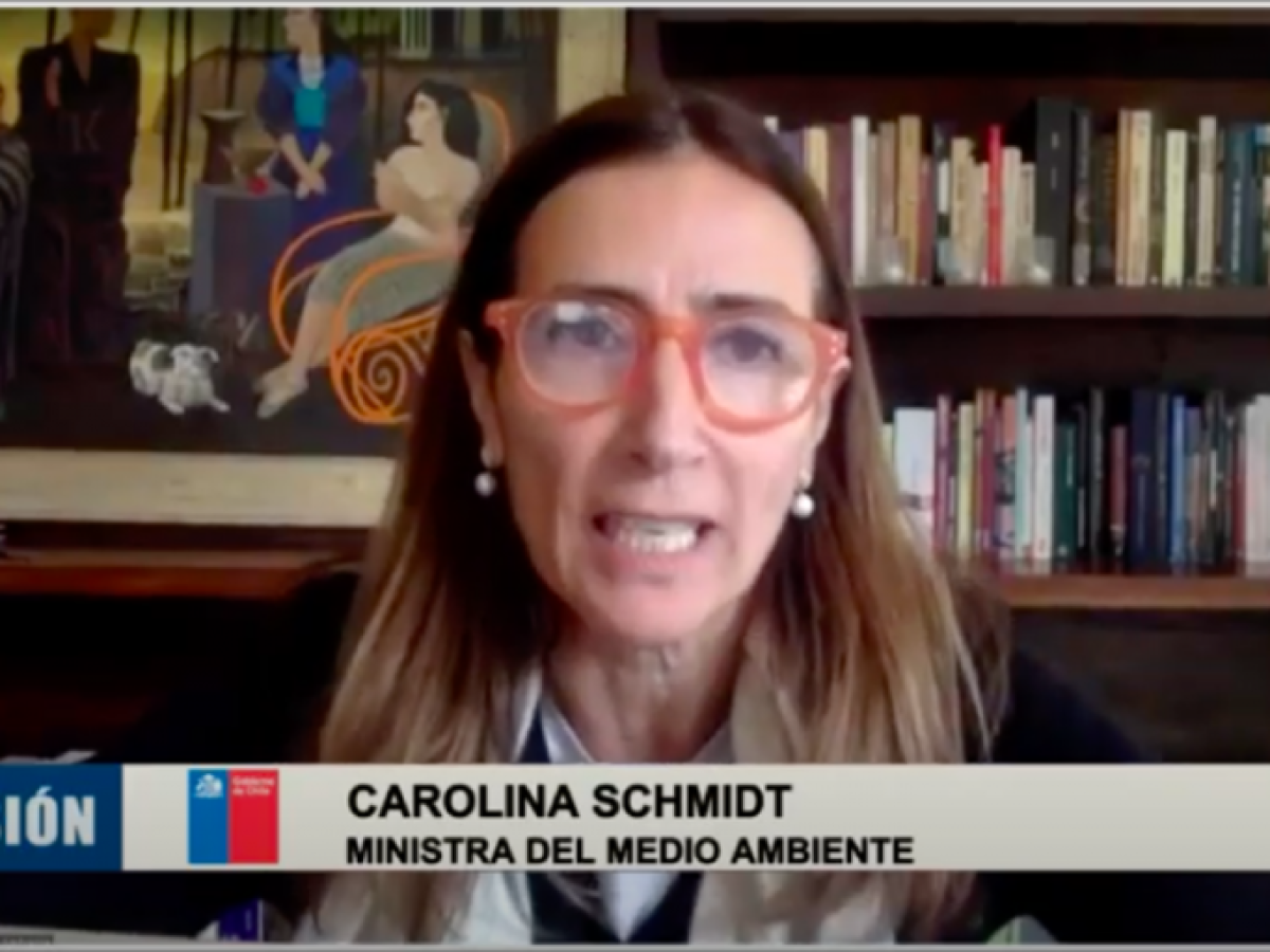 Comisión de Medio Ambiente escuchó a ministra Schmidt por proyecto Dominga