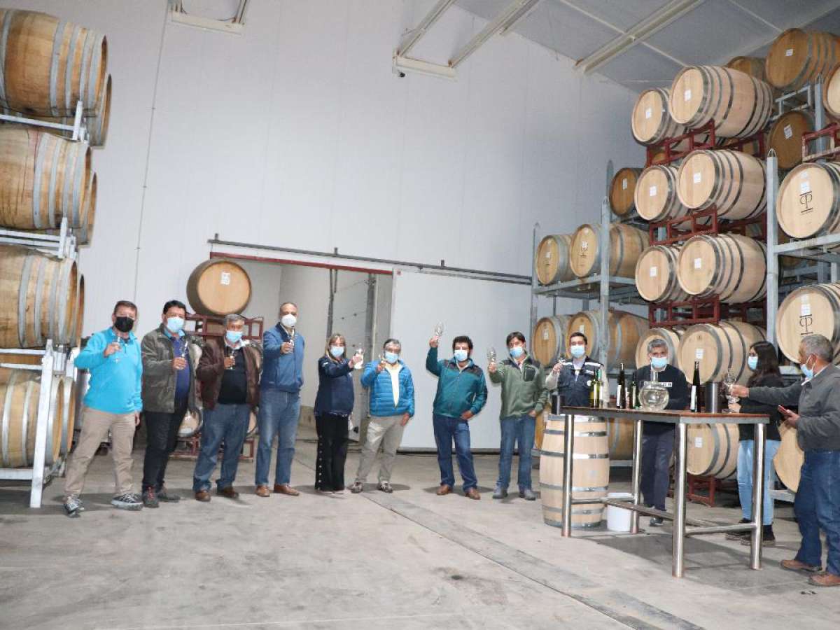 Primer vino Fair Trade de cepas ancestrales de Ñuble realizarán empresa campesina Moscin y Casas Patronales