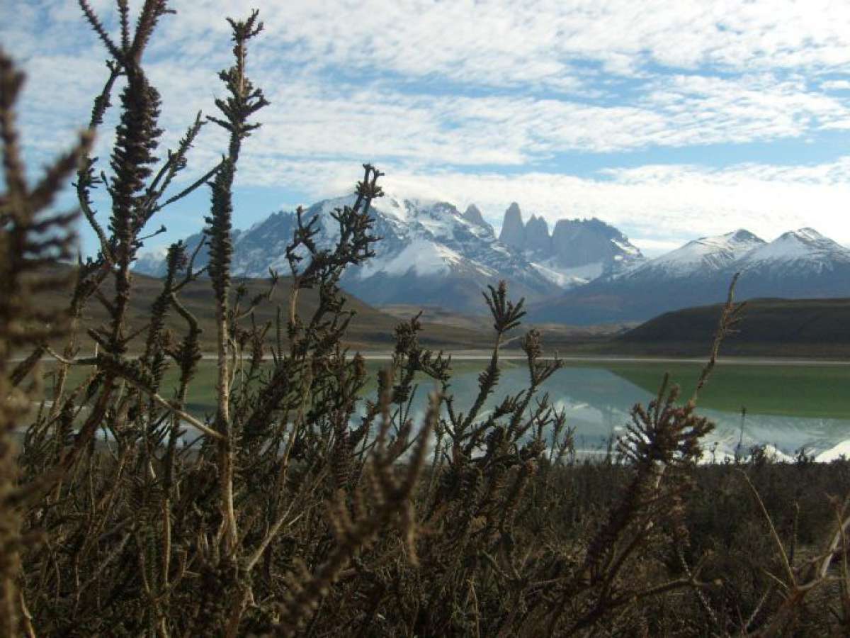 Solicitan incentivar donaciones para fines de protección medioambiental