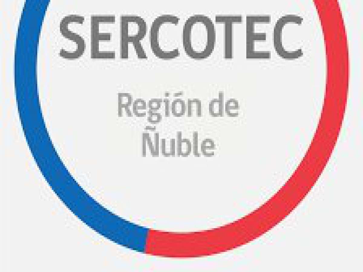 Programa Reactívate FDNR Covid 19 lanza SERCOTEC Ñuble