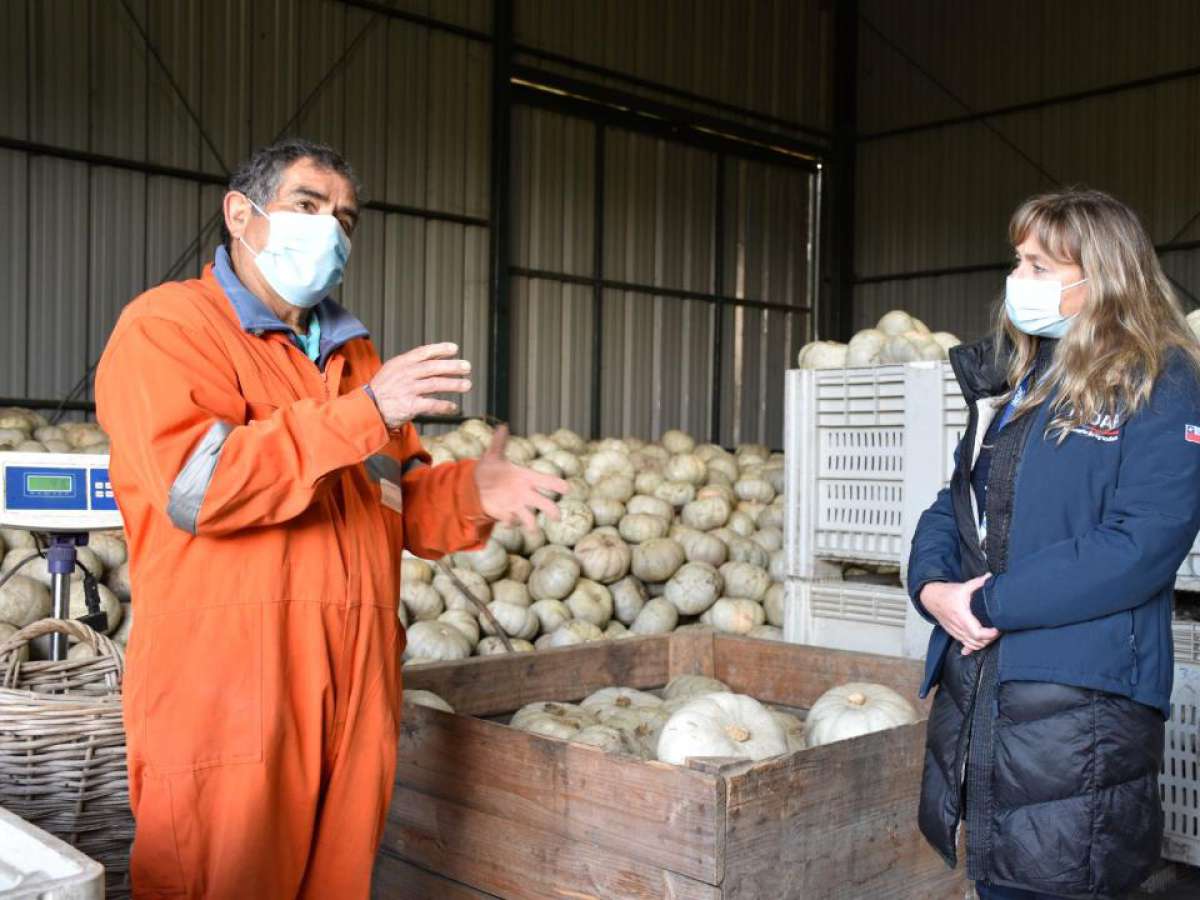 Productores top de INDAP ingresan a programa que mejorará su desempeño comercial 