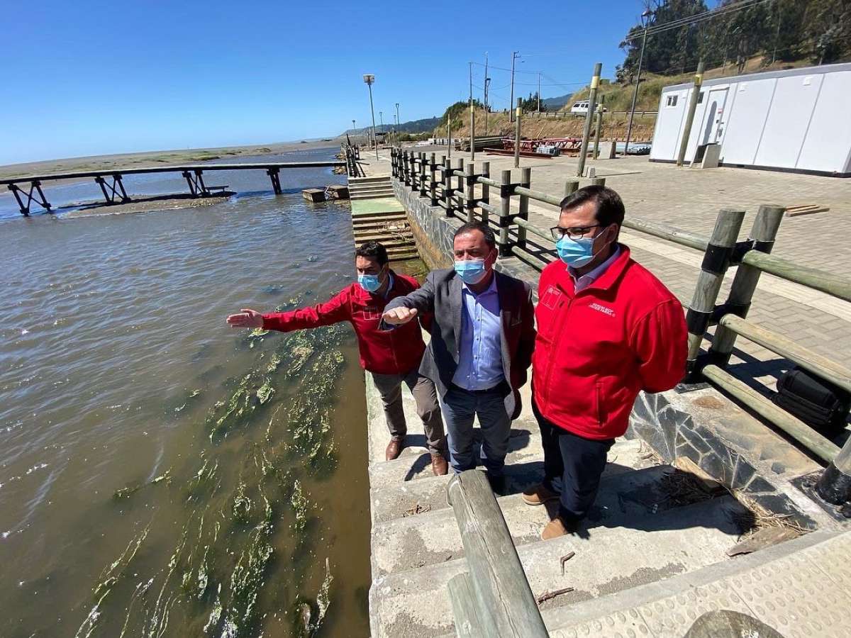 Un 52% de avance presentan obras de mejoramiento del borde costero de Buchupureo