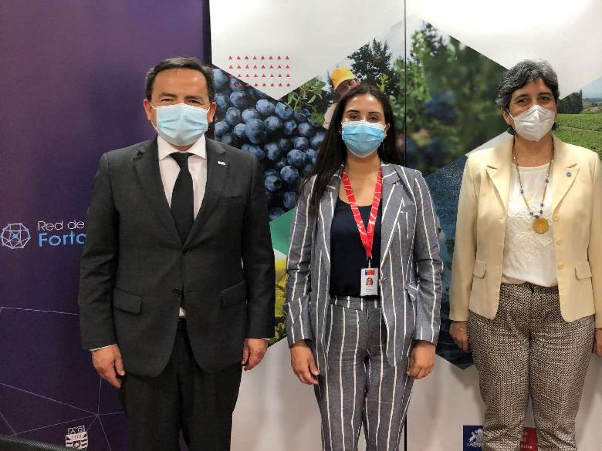Corfo y UBB invitan a empresas de Turismo a ser parte de la Red de Asistencia Digital Fortalece Pyme Ñuble