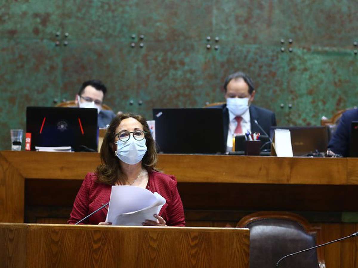 Sala ratificó proyecto que fortalece la institucionalidad del SAG