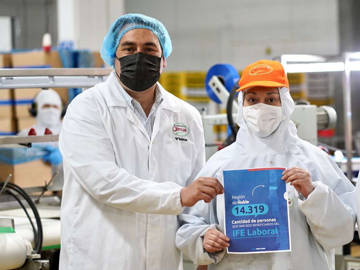 14.319 ñublensinos se han visto beneficiados con el IFE Laboral
