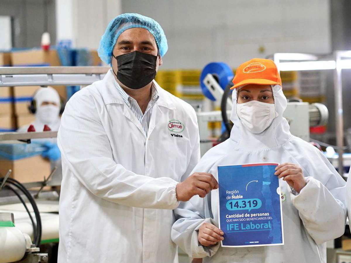 14.319 ñublensinos se han visto beneficiados con el IFE Laboral