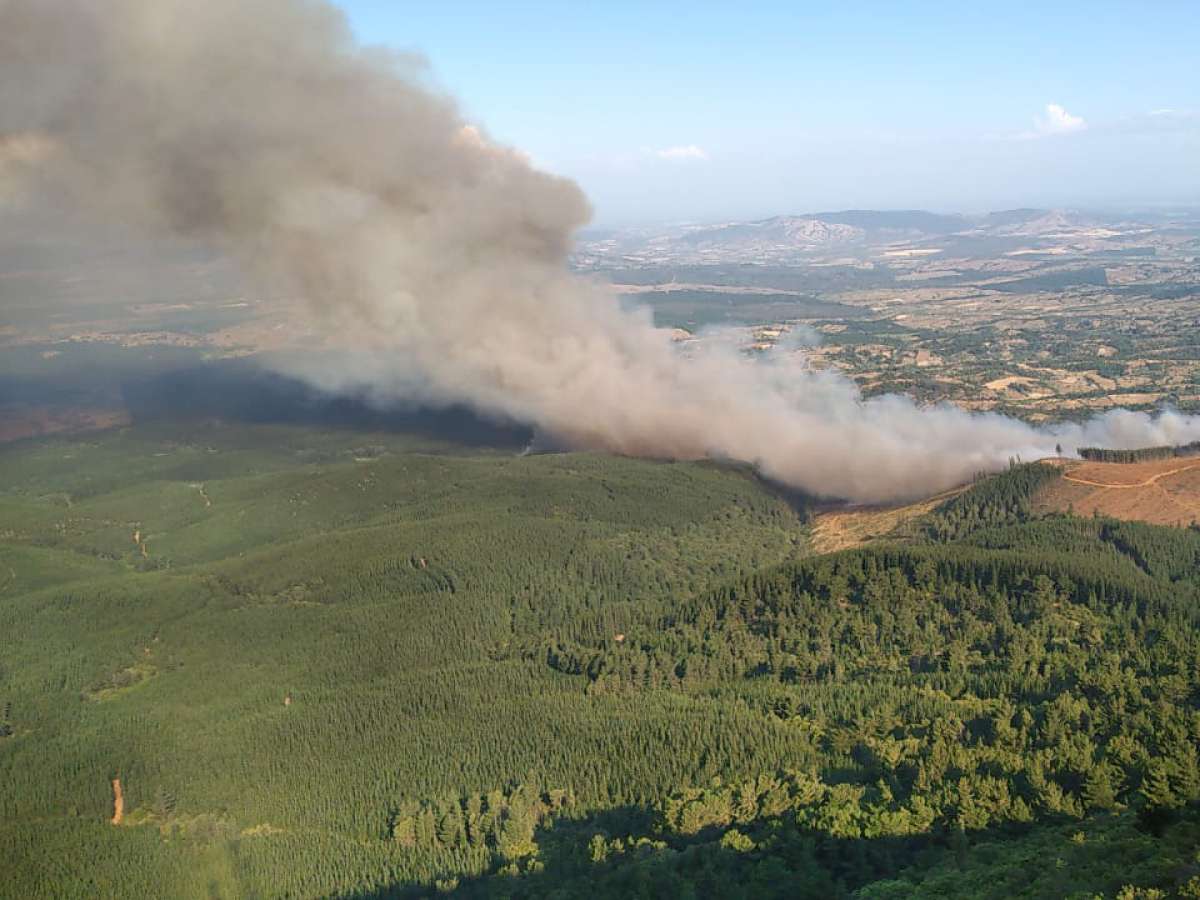 Alerta Roja para Ninhue, a contar de las 22.10 horas de este jueves por incendio forestal denominado ‘Cerros de Coiquén’.